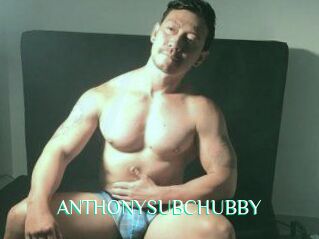 ANTHONYSUBCHUBBY
