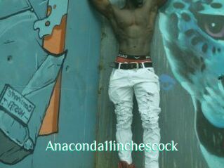 Anaconda11inchescock