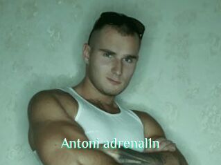 Antoni_adrenal1n