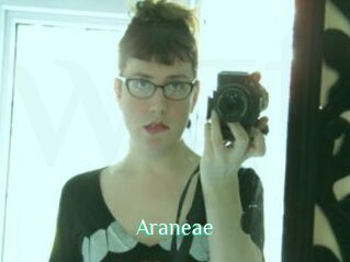 Araneae