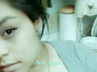 Arie_Angel