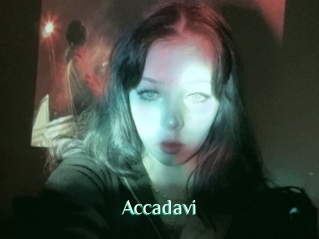 Accadavi