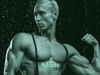 Adonis_