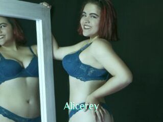 Alicerey