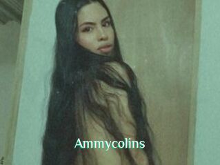 Ammycolins
