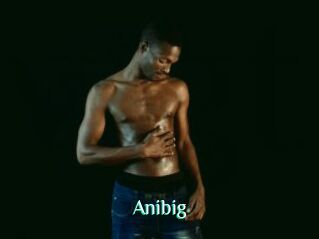 Anibig