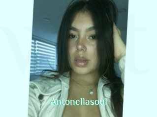 Antonellasoul