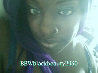 BBWblackbeauty2930