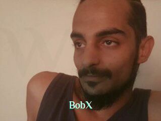 BobX