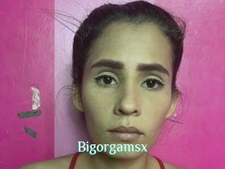 Bigorgamsx