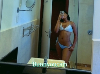 Bunnyoncam