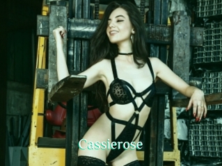 Cassierose