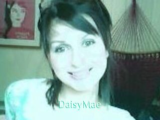 Daisy_Mae