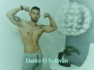 Dante_O_Sullivan Wild Girls TGP