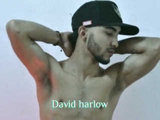 David_harlow