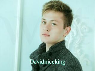 Davidniceking