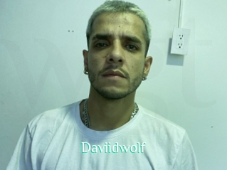 Daviidwolf