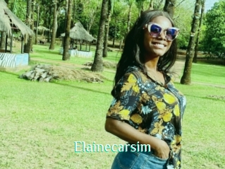 Elainecarsim