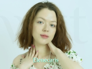 Elenecaris