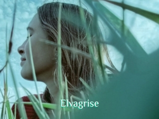 Elvagrise