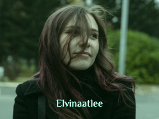 Elvinaatlee