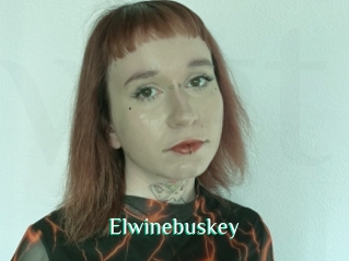 Elwinebuskey