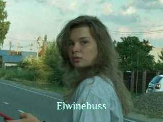 Elwinebuss