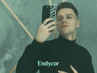 Endycor