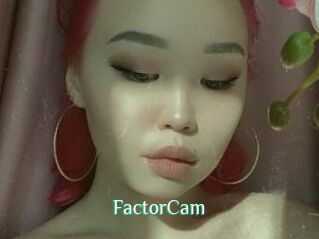 FactorCam