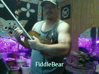 FiddleBear