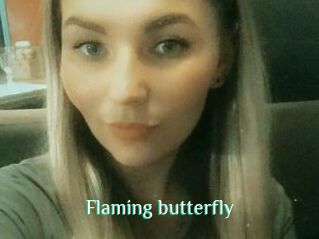 Flaming_butterfly