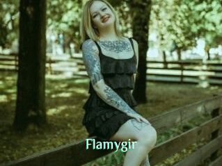Flamygir