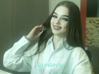 Fayesteele