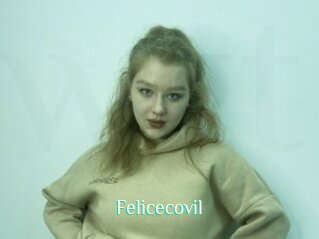 Felicecovil