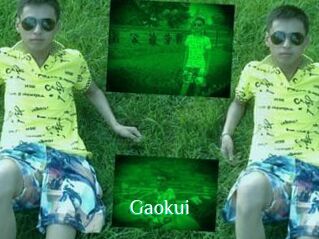 Gaokui
