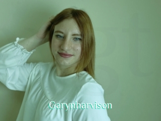 Garynharvison