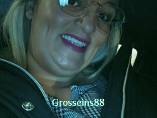 Grosseins88