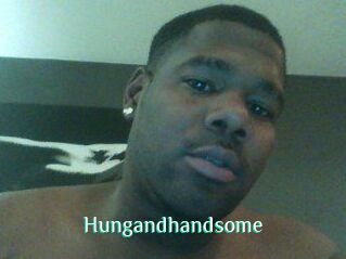 Hungandhandsome