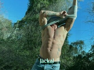 Jackal