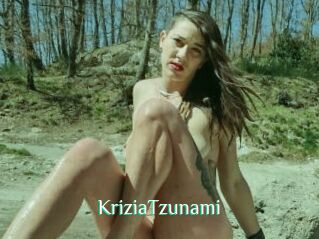 KriziaTzunami