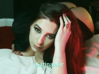 Karinanoir