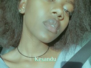 Kesandu