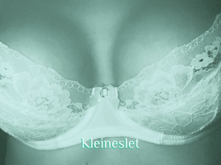 Kleineslet