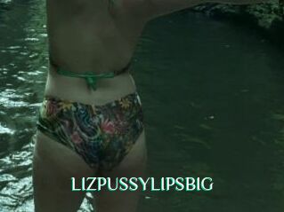 LIZPUSSYLIPSBIG