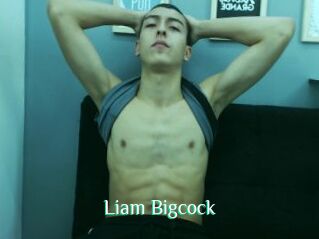 Liam_Bigcock