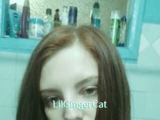 LilGingerCat