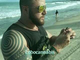 Lobocannabis
