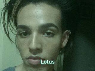 Lotus