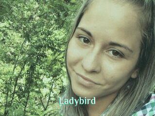 Ladybird