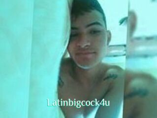 latinbigcock4u Wild Girls TGP
